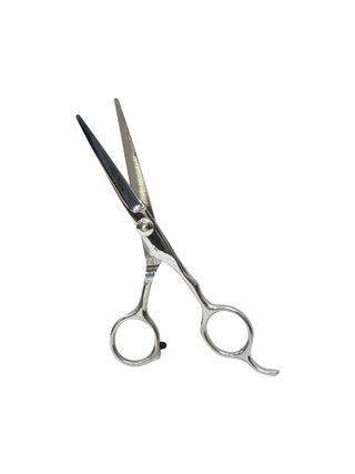 Alan Truman AT755 Steel Screw 5.5 inch Professional Hair Cutting Scissors